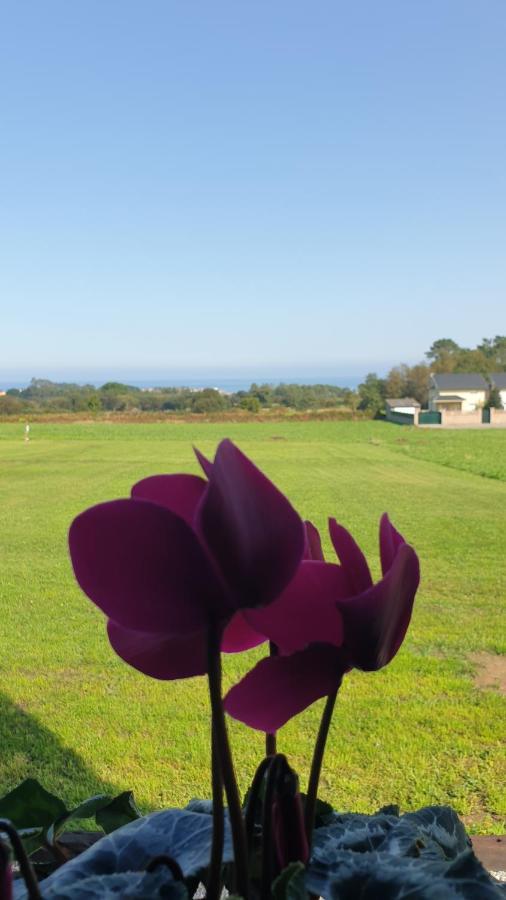 "O Cabazo De Reinante" Villa Barreiros Luaran gambar